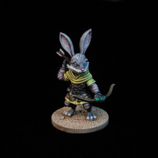 Picture of print of Rabbit Archer 2