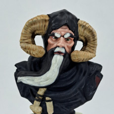 Picture of print of Tim the Enchanter Bust [Pre-Supported]