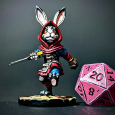Picture of print of Rabbit Rogue 1
