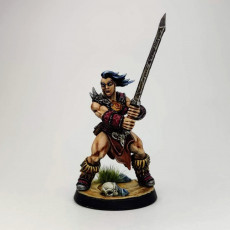 Picture of print of Dragonpeak Barbarian - Modular D This print has been uploaded by Haakon
