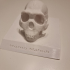 Homo Naledi Skull Bust - Figure image