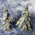 Young Conifers - Spruce Forest Set /Pre-supported/ print image
