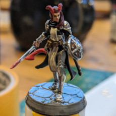 Picture of print of Tiefling knight - Knight December release