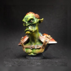 Picture of print of Goblin Bust 02 [Pre-Supported]