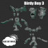 Birdy Boys image