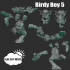 Birdy Boys image