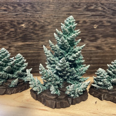 Picture of print of ANCIENT PINES