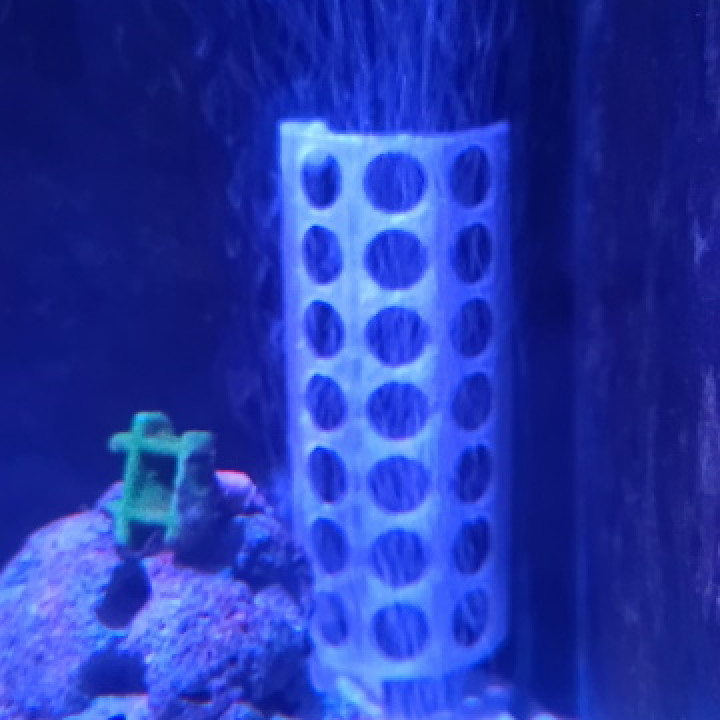 Aquarium Heater Guard