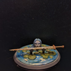 Picture of print of Water Nymphs 50mm Bases