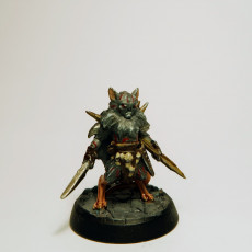 Picture of print of Gloomhaven Proxy - Vermling Raider