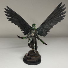 Picture of print of Sky Raiders - Cursed Elves
