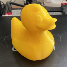 Picture of print of Rubber duck