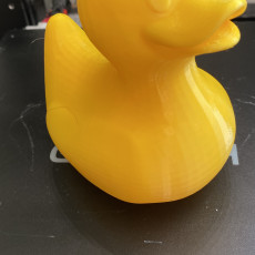 Picture of print of Rubber duck
