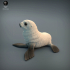 Seal Pup image