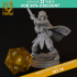 RPG - DnD Hero Characters - Titans of Adventure Set 20 image
