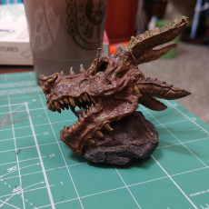 Picture of print of Dragon Skull