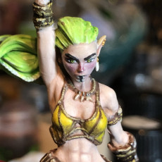 Picture of print of Sia the Elf Barbarian