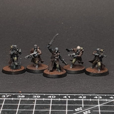 Picture of print of Steel Guard - Squad of the Imperial Force