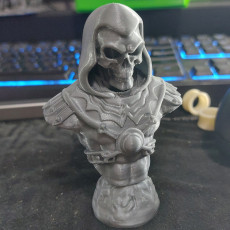 Picture of print of Skeletor Bust