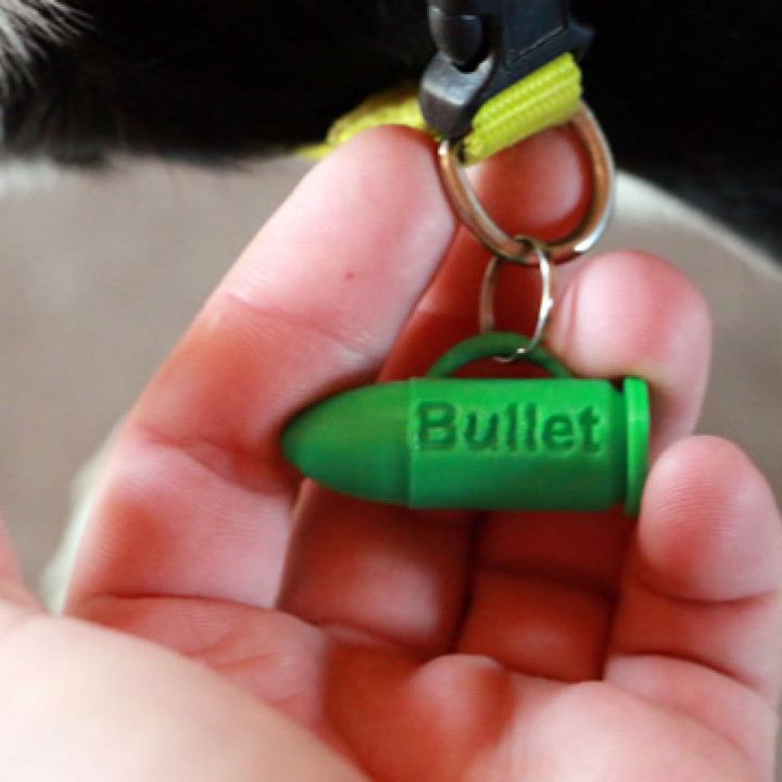 A Bullet! (Dog Tag)
