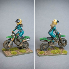 Picture of print of Enduro