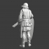 Medieval handgunner - Guard image