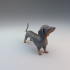 Dachshund - pre supported image