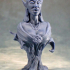 Illeanna Bust | Vampire | Pre Supported - 75mm image