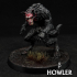 Howler Beta, Pre-supported image