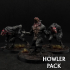 Howler Pack, Pre-supported image