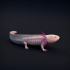 Axolotl image