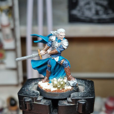 Picture of print of Levariel (Elven Knight) - 32mm - DnD