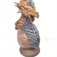 Picture of print of DC15 Dragon Egg Dice Case Box :: Possibly Cool Dice Tower 2