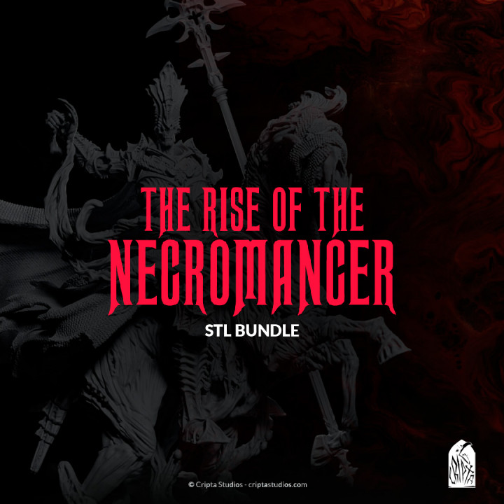 $60.00BUNDLE | The Rise of the Necromancer