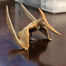 Picture of print of Pteranodon - pre supported