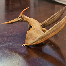 Picture of print of Pteranodon - pre supported