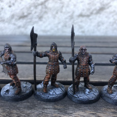 Picture of print of City Guard Bundle [Pre-Supported]