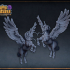 Pegasus unicorn image