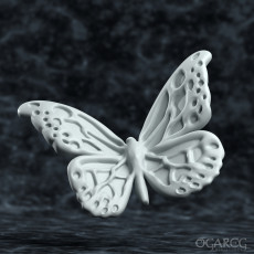 230x230 butterfly