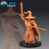 Gray Wizard Set / Human Sorcerer / Wise Magician image