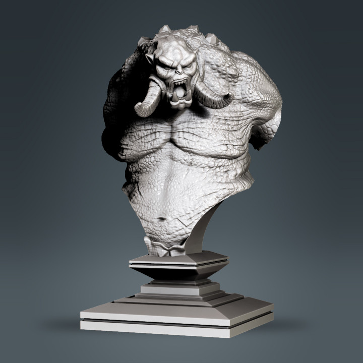 Troll bust's Cover