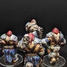 Picture of print of Ogre Unit (pre-supported)