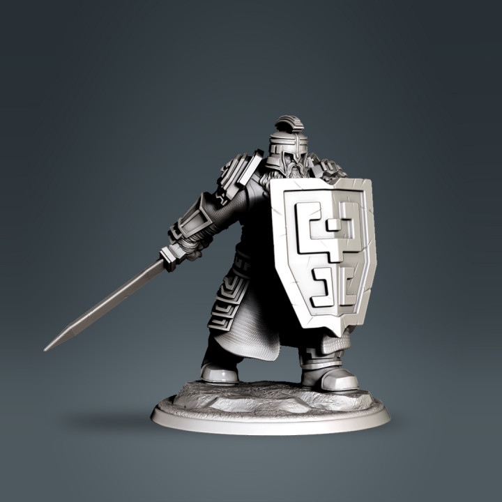 Dwarf armoured sword's Cover