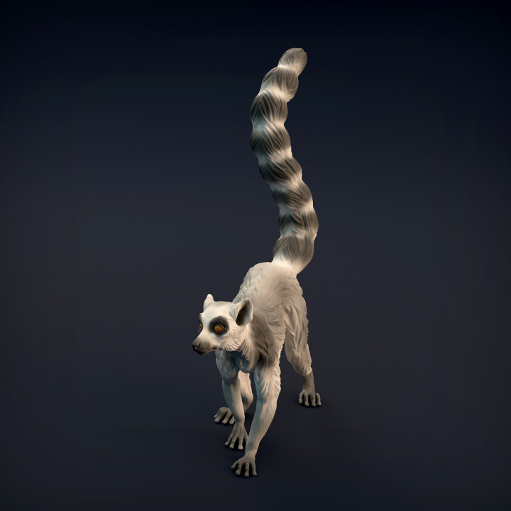 $9.00Ring-Tailed Lemur
