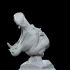 Savanna Bust Hippo unsupported image