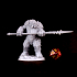 Armoured troll spear image