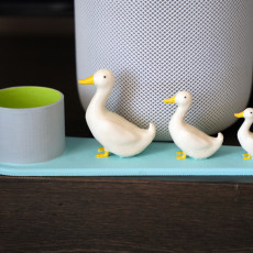 Picture of print of Duck pen holder
