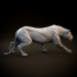 Lioness sneaking - pre supported image