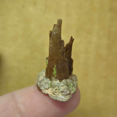 Picture of print of Realistic stumps and logs - photo-scanned terrain props