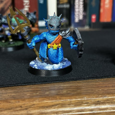 Picture of print of Merman Paladin (pre-supported included)